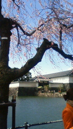 201004011353001.jpg