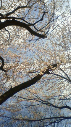 201004031356000.jpg