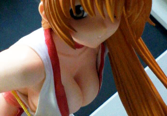 Dead or Alive 霞1
