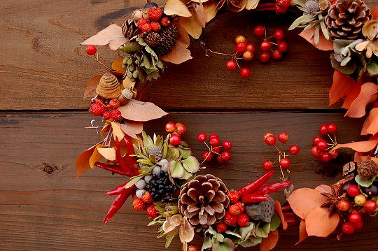 autumn colors・彩り