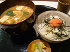 misogen2