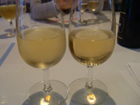 Champagne