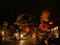 長谷寺
