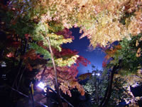 長谷寺