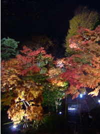 長谷寺