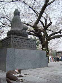 長谷寺
