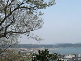 長谷寺