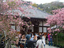 光則寺