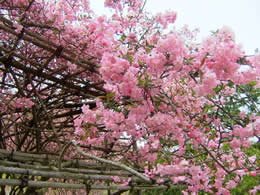 光則寺