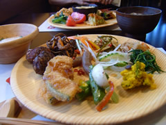 ひな野