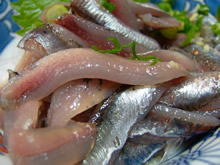 磯はる