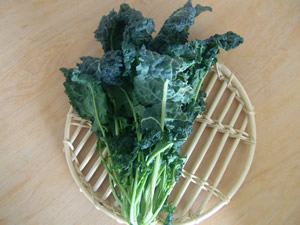 cavolo nero