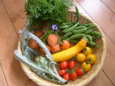 鎌倉野菜