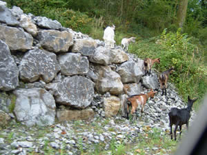 La Rhune