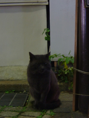 kibineko