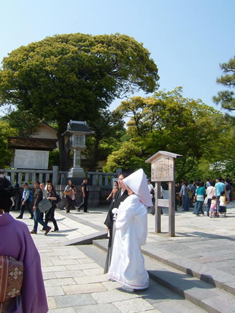 新緑の花嫁