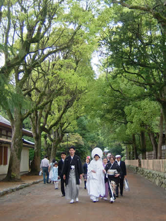 新緑の花嫁