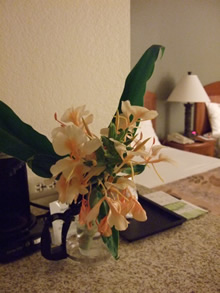fragrantginger