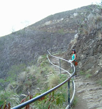 Diamond Head