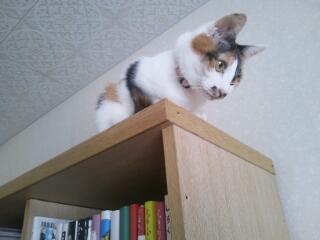 20141231_102204.jpg