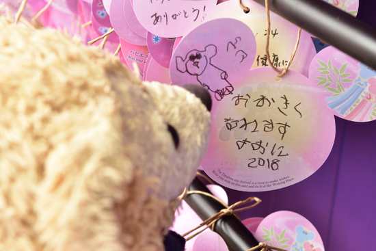 DSC_8176.jpg