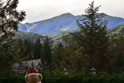DSC_9503_00001.jpg