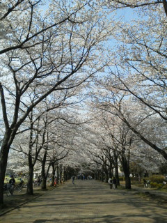 20120409145020.jpg