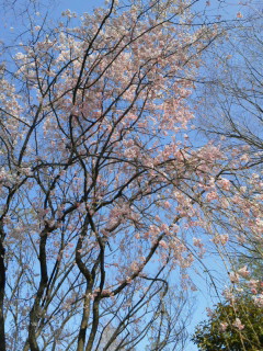 20120412154423.jpg