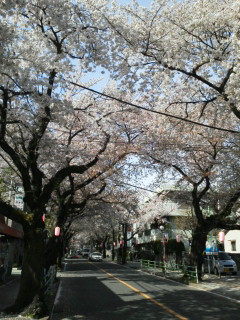 20120412150019.jpg