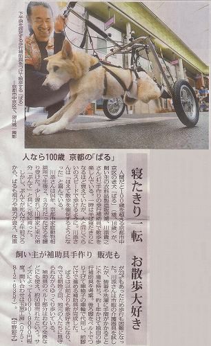 夕刊