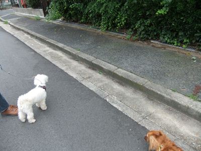 遭遇場所