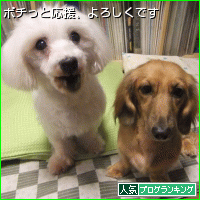 Blogランキングバナー