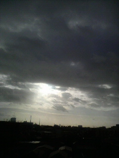 P1010047.jpg