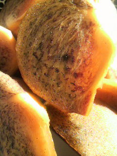 2009102008050000.jpg