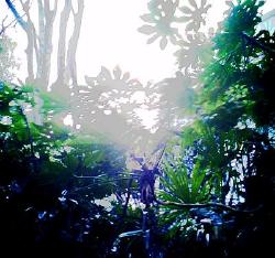 photo by Keiju SOTOGUCHI