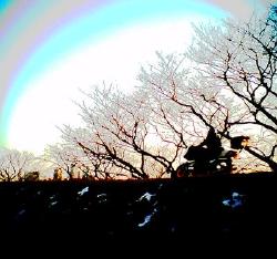 photo by Keiju SOTOGUCHI