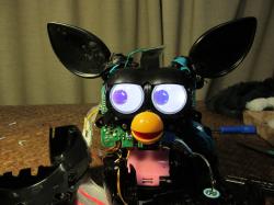 Furby