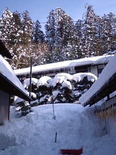 080229_1509~0001.jpg