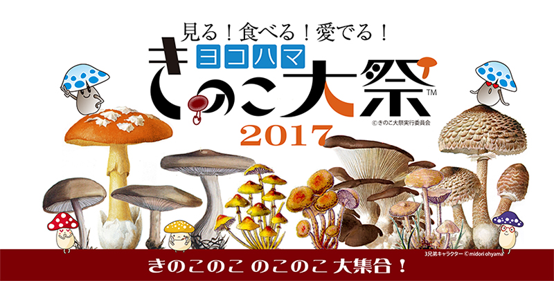 2017¥è¥³¥Ï¥Þ¤¤Î¤³Âçº×
