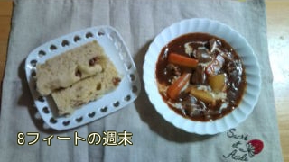 モーニング