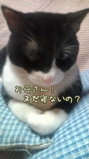 おねむ
