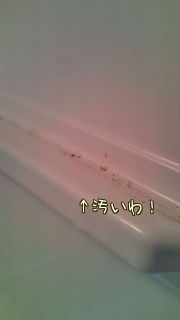 冷蔵庫5
