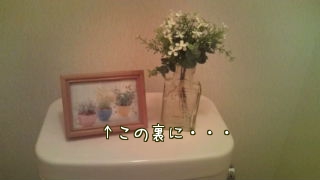 タンク上