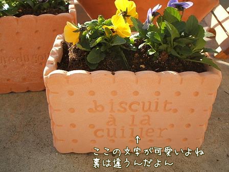 ビスケット小