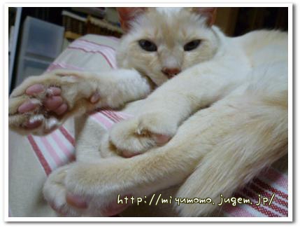 態度デカイ?