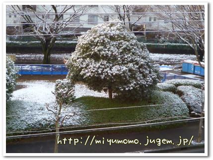 雪景色