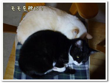 寒いから!