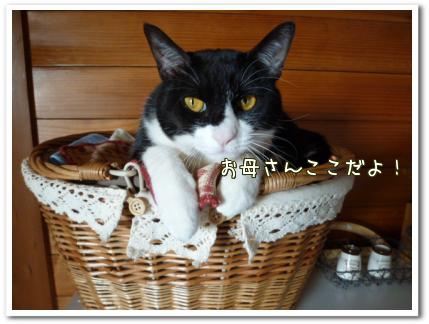 地震の後・・・