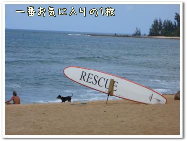 ハレイワの海