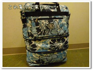 追加バック